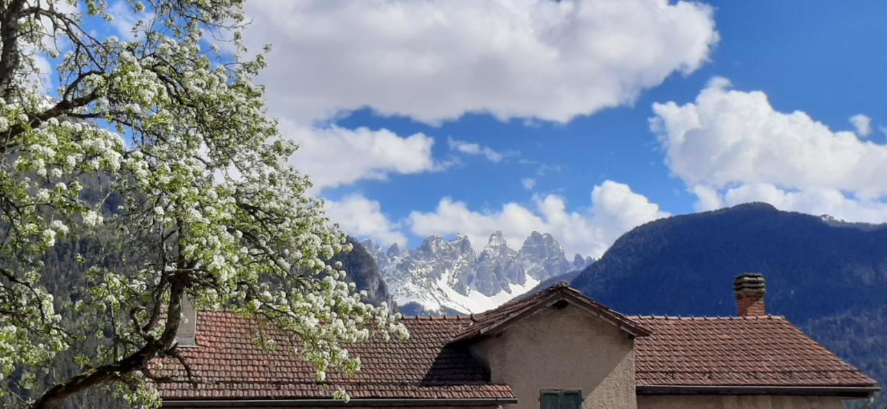B&B Sognoincadore Домедже-ді-Кадоре Екстер'єр фото