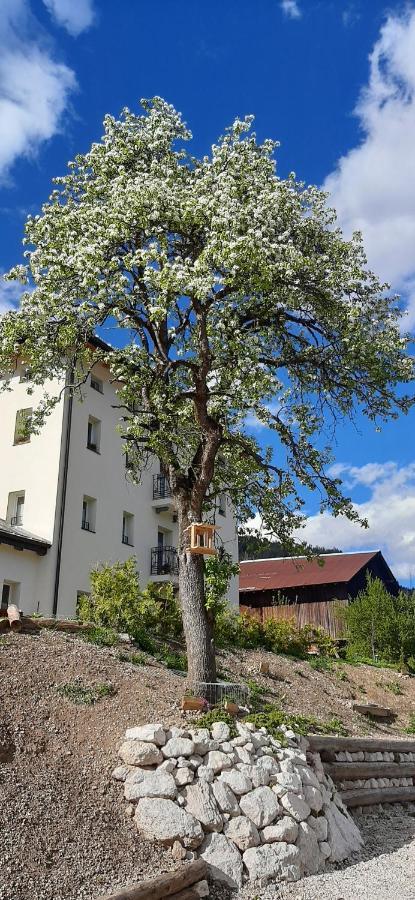 B&B Sognoincadore Домедже-ді-Кадоре Екстер'єр фото