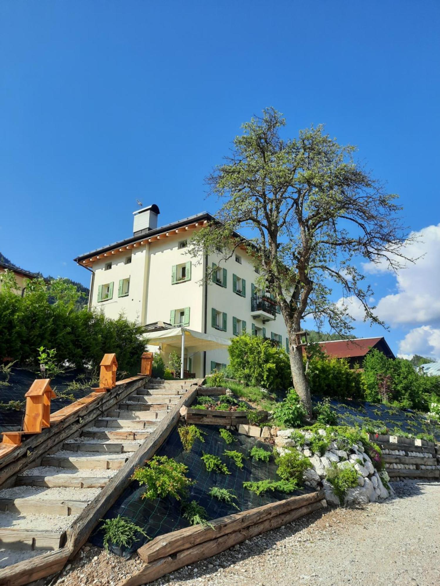 B&B Sognoincadore Домедже-ді-Кадоре Екстер'єр фото